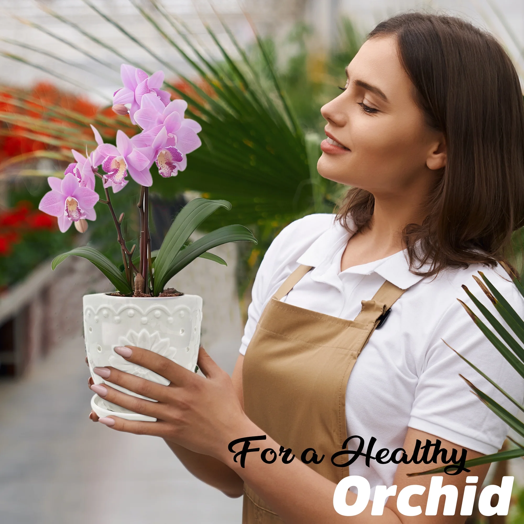 WILD ROOTS CO Ceramic Orchid Pot with Holes for repotting. Includes Steel tip prunning Scissors and six Transparent Dragonfly Orchid Clips.