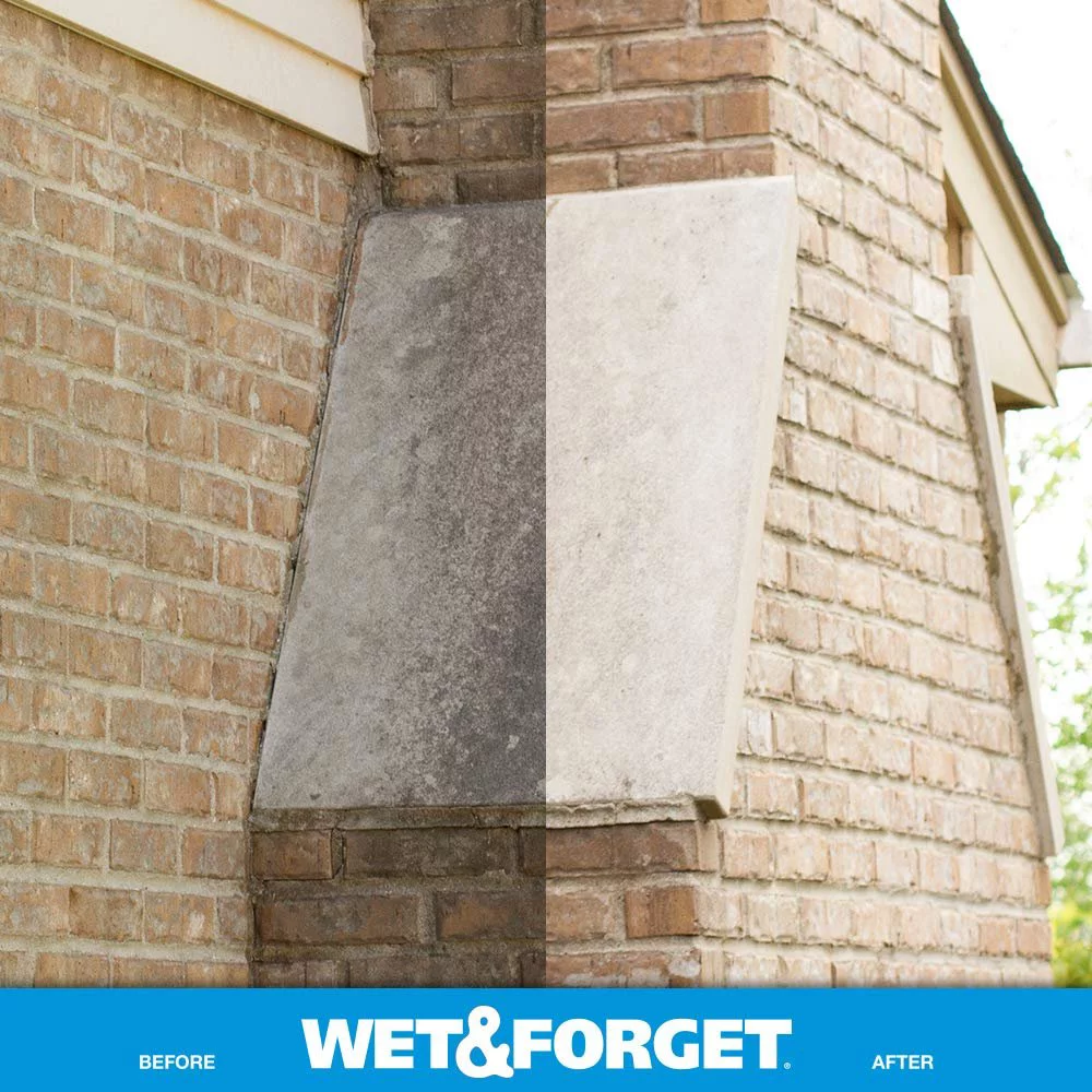 Wet and Forget Moss, Mold, Mildew & Algae Stain Remover, 1 Gallon Concentrate Make 6 Gallons - 3 Pack