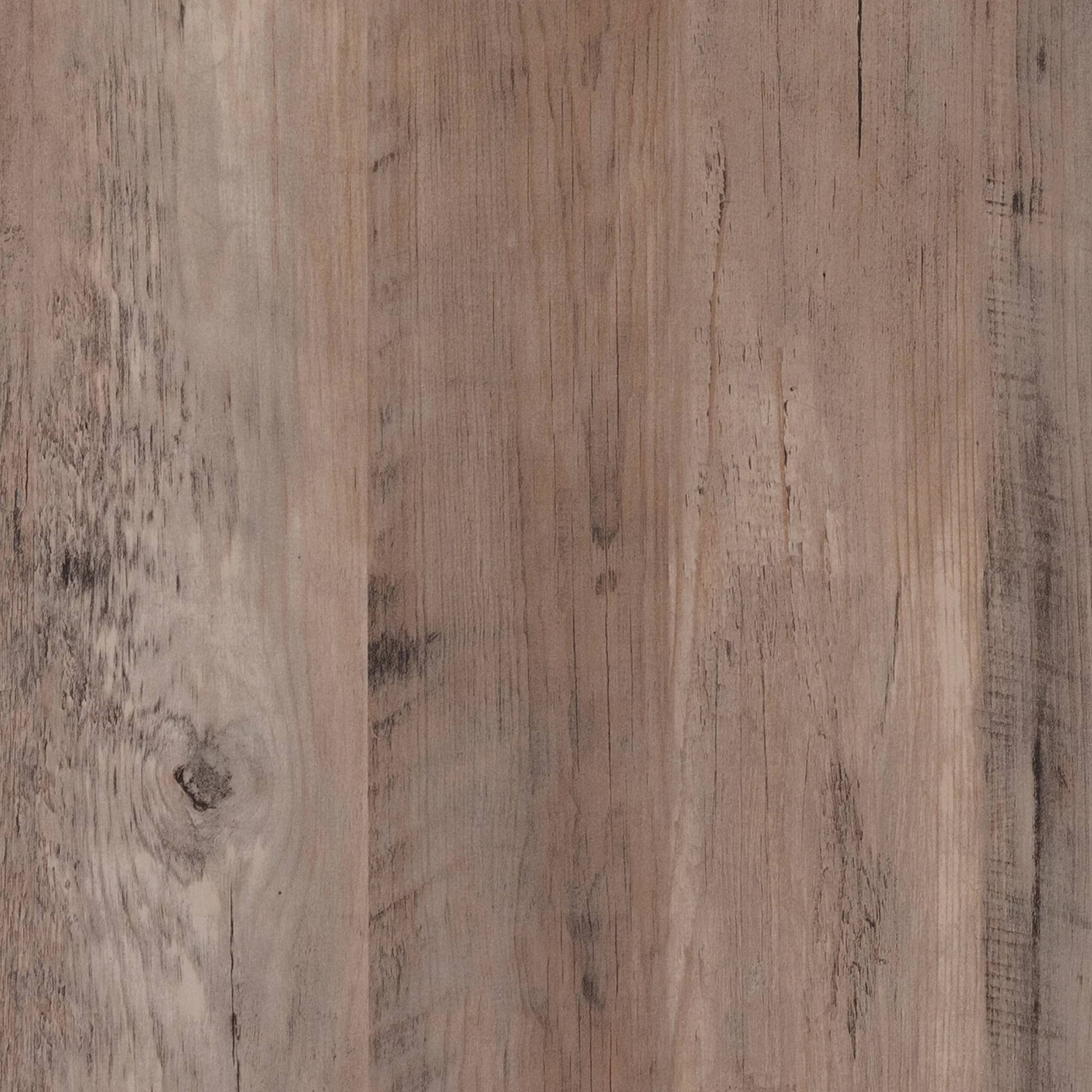 Evelyn&Zoe Colton Rectangular TV Stand for TV's up to 55