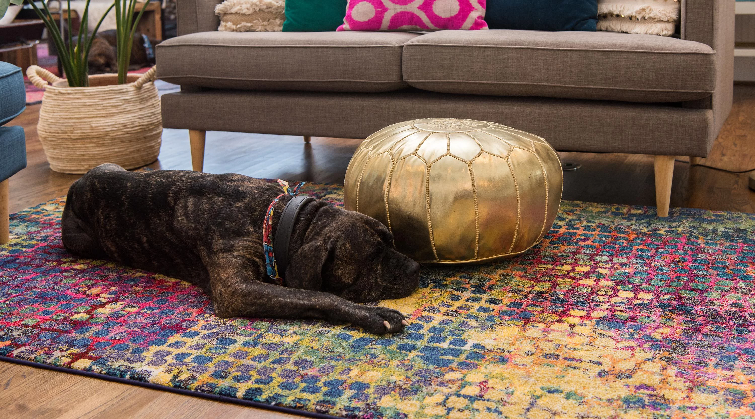 Unique Loom Stormy Chromatic Rug Multi/Blue 5' 1