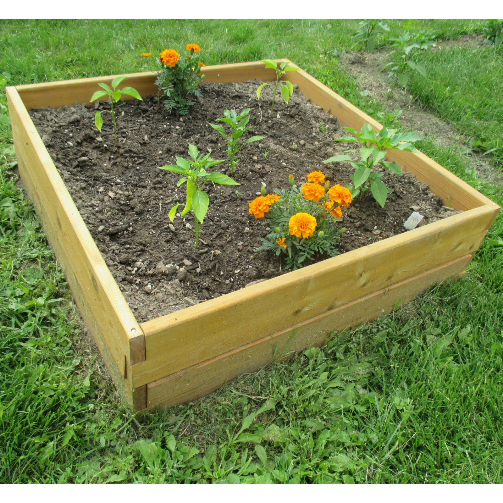 Infinite Cedar Raised Garden Bed