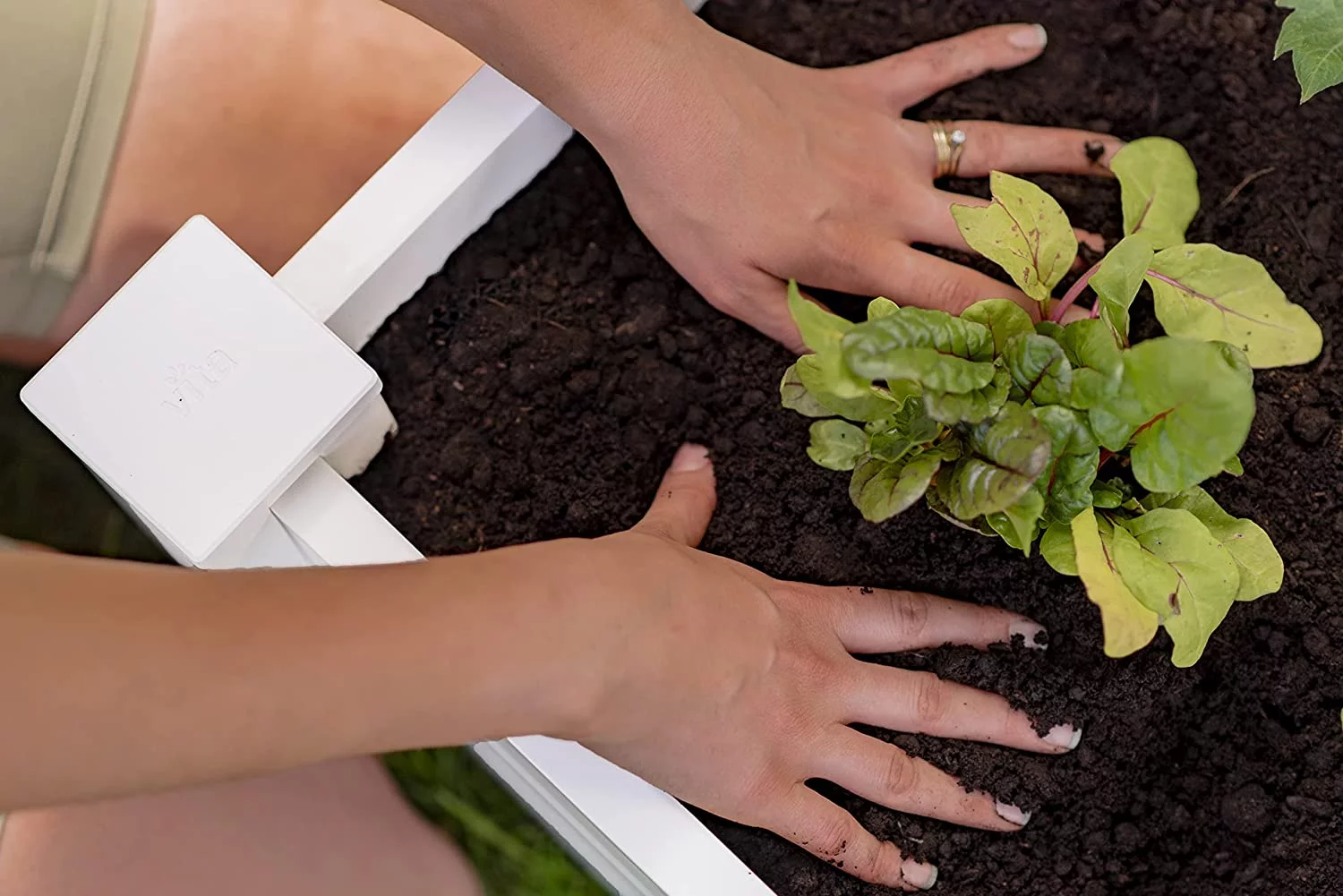 Vita Classic 4 ft x 4 ft x 11 in White Vinyl Raised Garden Bed, VT17108