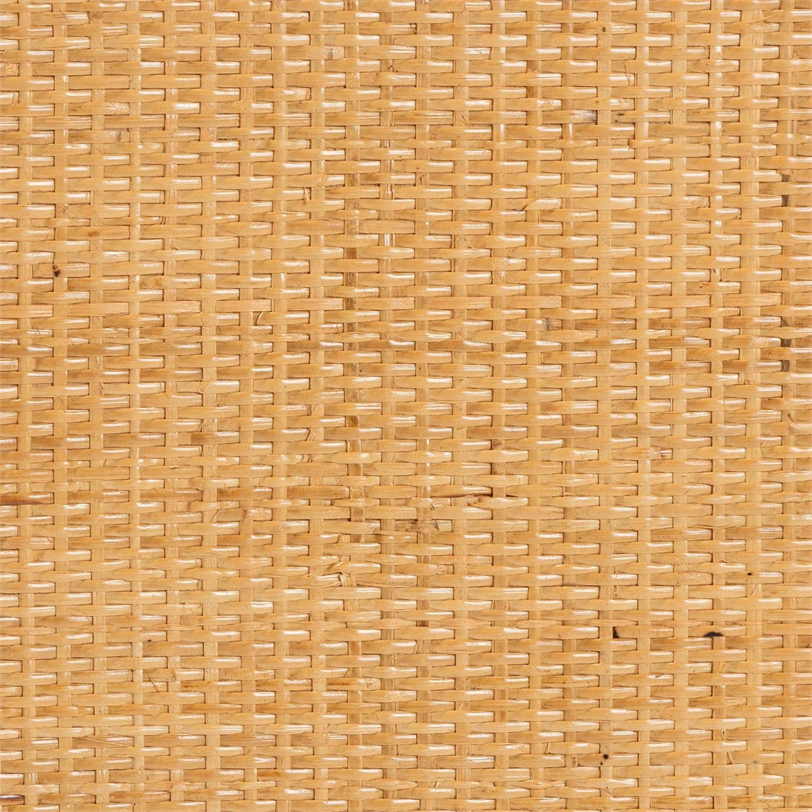 Pemberly Row Modern 2-Door Rattan Storage Cabinet in Natural Brown