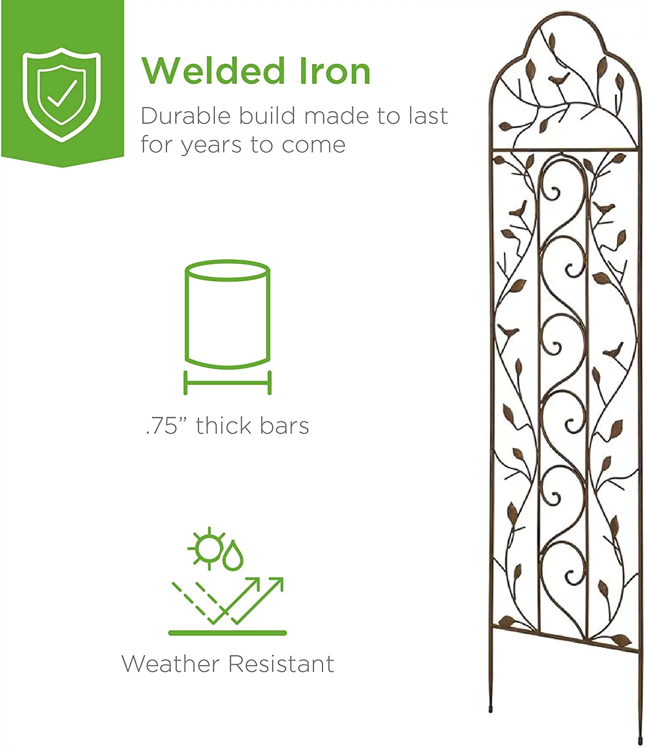 Set of 2 Iron Arched Garden Trellis w/ Branches, Birds for Lawn, Garden, Backyard, Climbing Plants, 60x15-inch