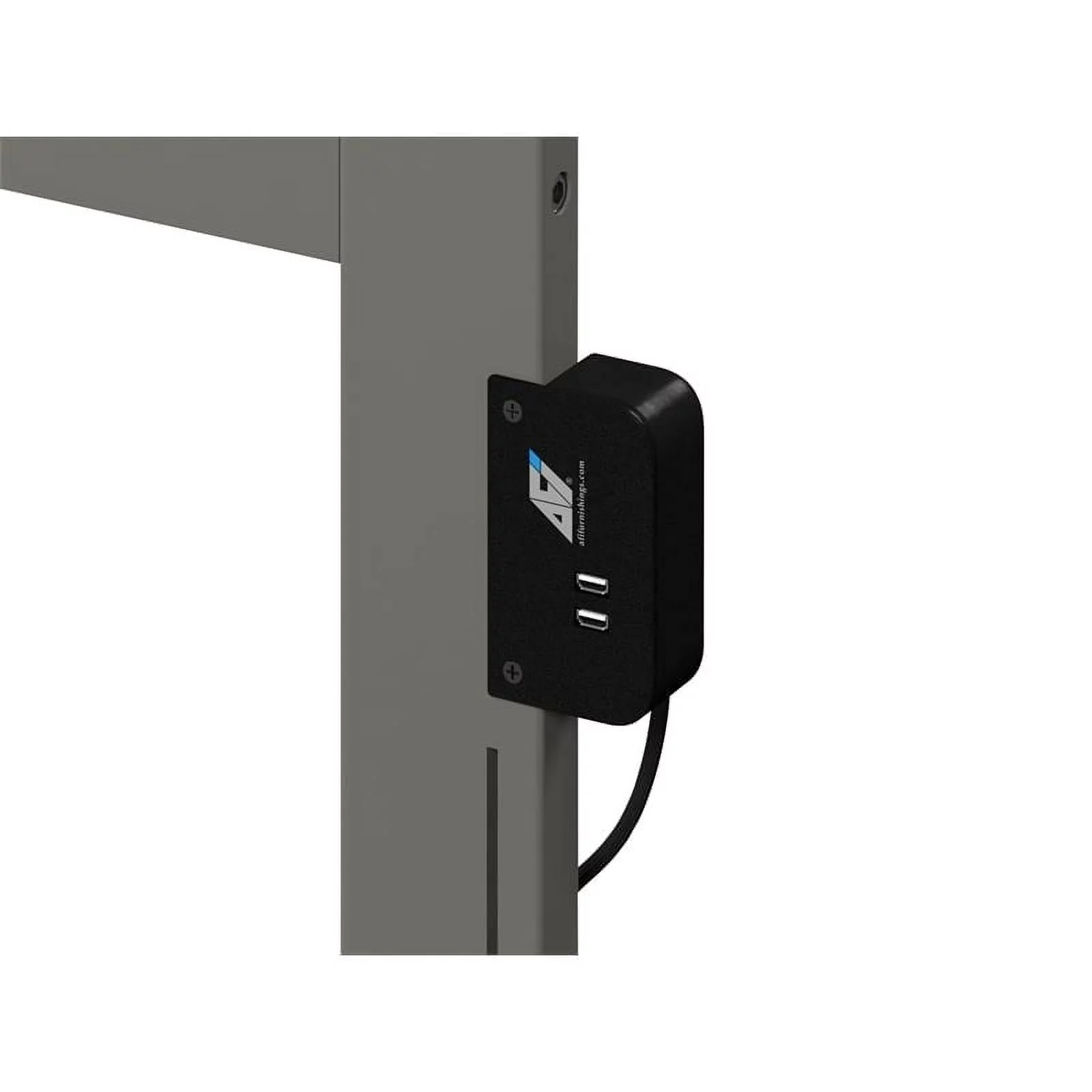 Leo & Lacey Traditional Solid Wood Twin Bed with Footboard in Gray