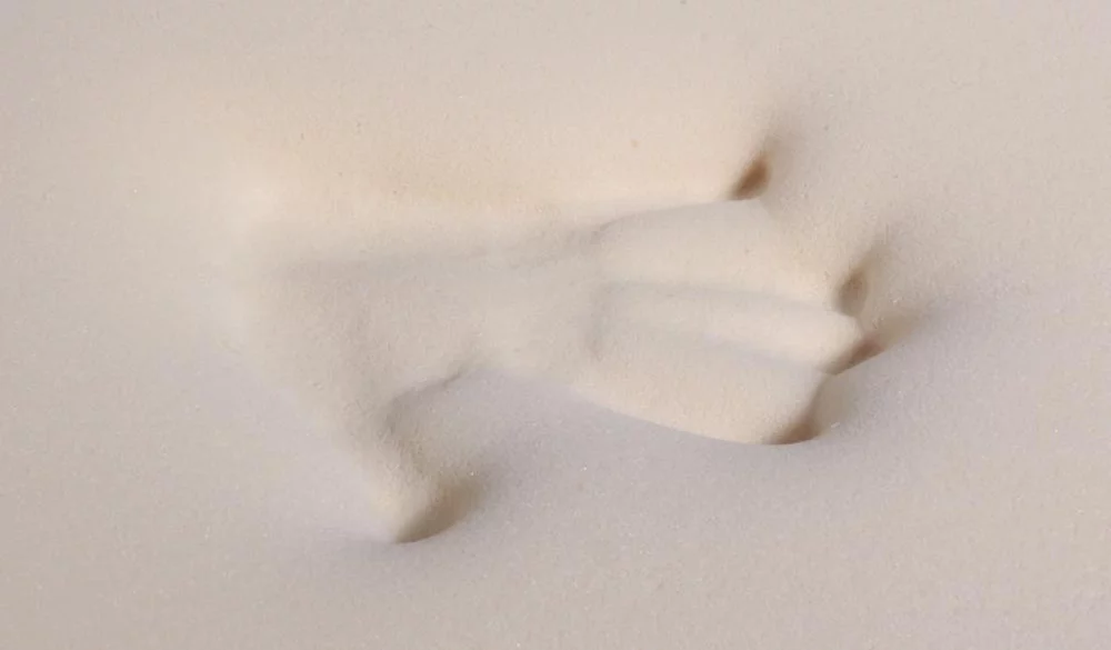 PlushBeds Resort Quality Sofa Mattress with Premium Memory Foam - Full