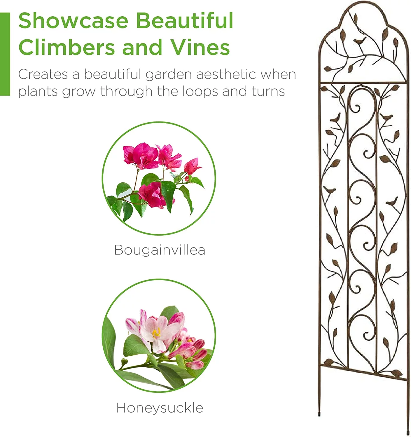 Set of 2 Iron Arched Garden Trellis w/ Branches, Birds for Lawn, Garden, Backyard, Climbing Plants, 60x15-inch