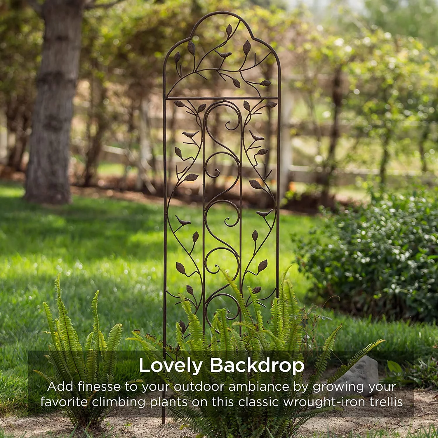 Set of 2 Iron Arched Garden Trellis w/ Branches, Birds for Lawn, Garden, Backyard, Climbing Plants, 60x15-inch