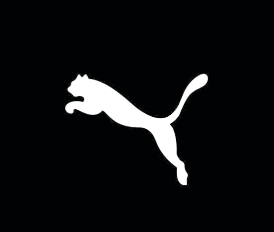 pumastudio.top favicon