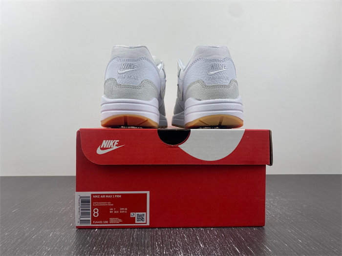 Nike Air Max 1 “The Bay” FJ4451-100