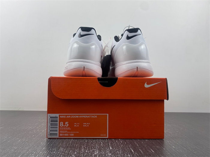 Nike Air Zoom 881485-100