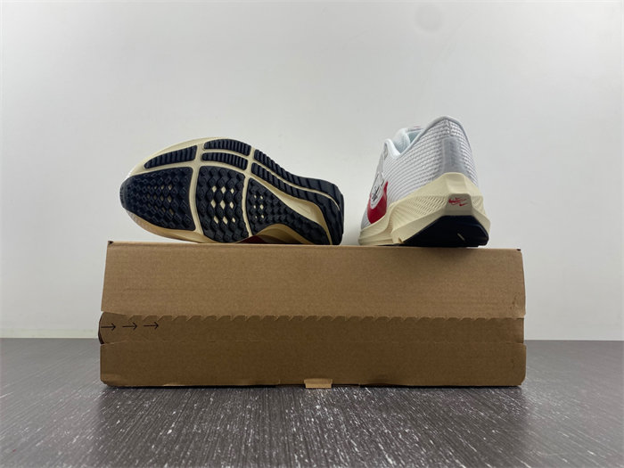 Nike Pegasus 40 Premium  FB7703-100