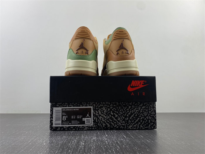 Air Jordan 3 CT8532-102