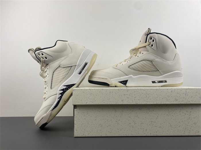 Jordan 5 Retro SE  FN7405-100