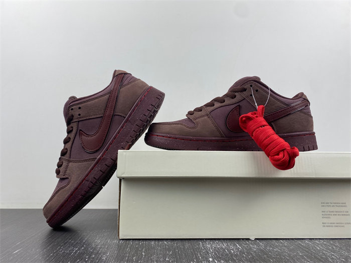 Nike Dunk SB FN0619-600