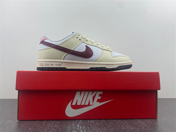 Nike Dunk Low  DD1503-117