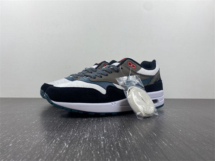 Nike Air Max 1 PRM Escape Treeline FJ0698-100