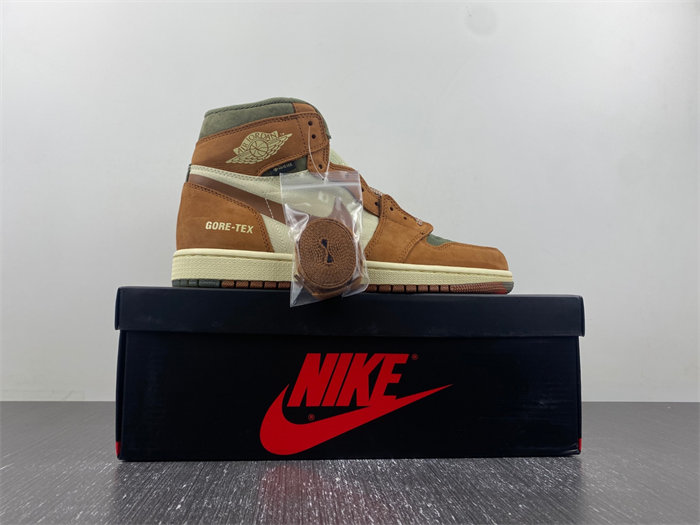 AJ1 Gore-Tex Jordan 1 High DB2889-100