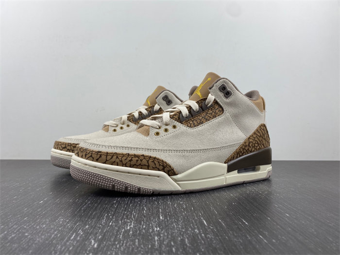 Air Jordan 3 “Palomino” CT8532-102