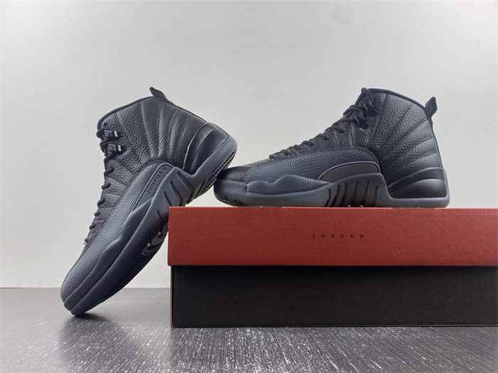 Air Jordan 12