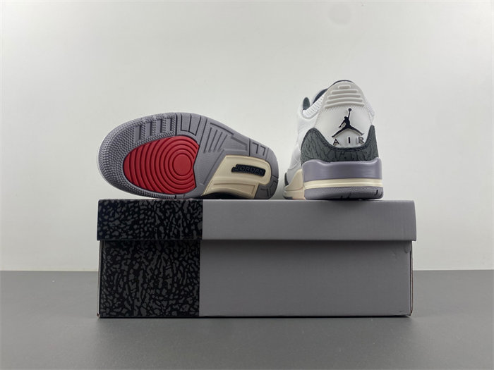 Air Jordan 3 Retro  CT8532-106