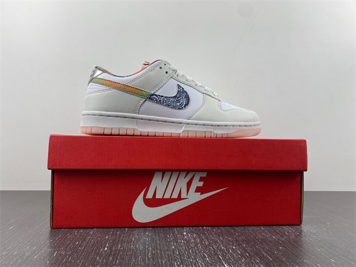 Nike Dunk Low GS  FN8913-141