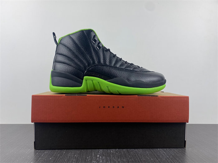 Air Jordan 12