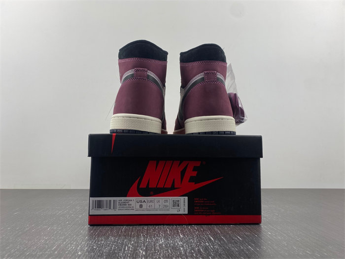 Jordan 1 High Element Gore-Tex Berry DB2889-500