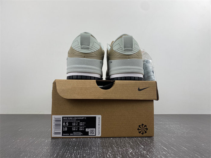 Nike Dunk Disrupt 2 DV4024-200