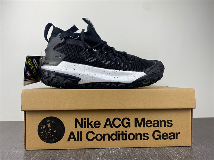 Nike ACG Mountain Fly Low Gore-Tex SE Dark Smoke Grey DD2861-002