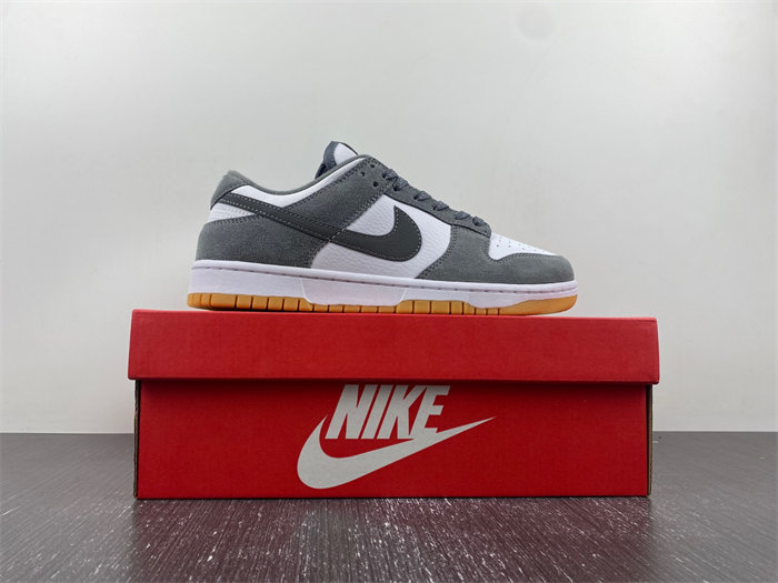 Nike Dunk Low  FV0389-100