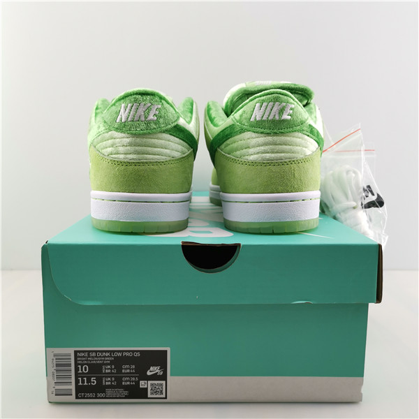 NIKE SB DUNK LOW PRO QS CT2552-300