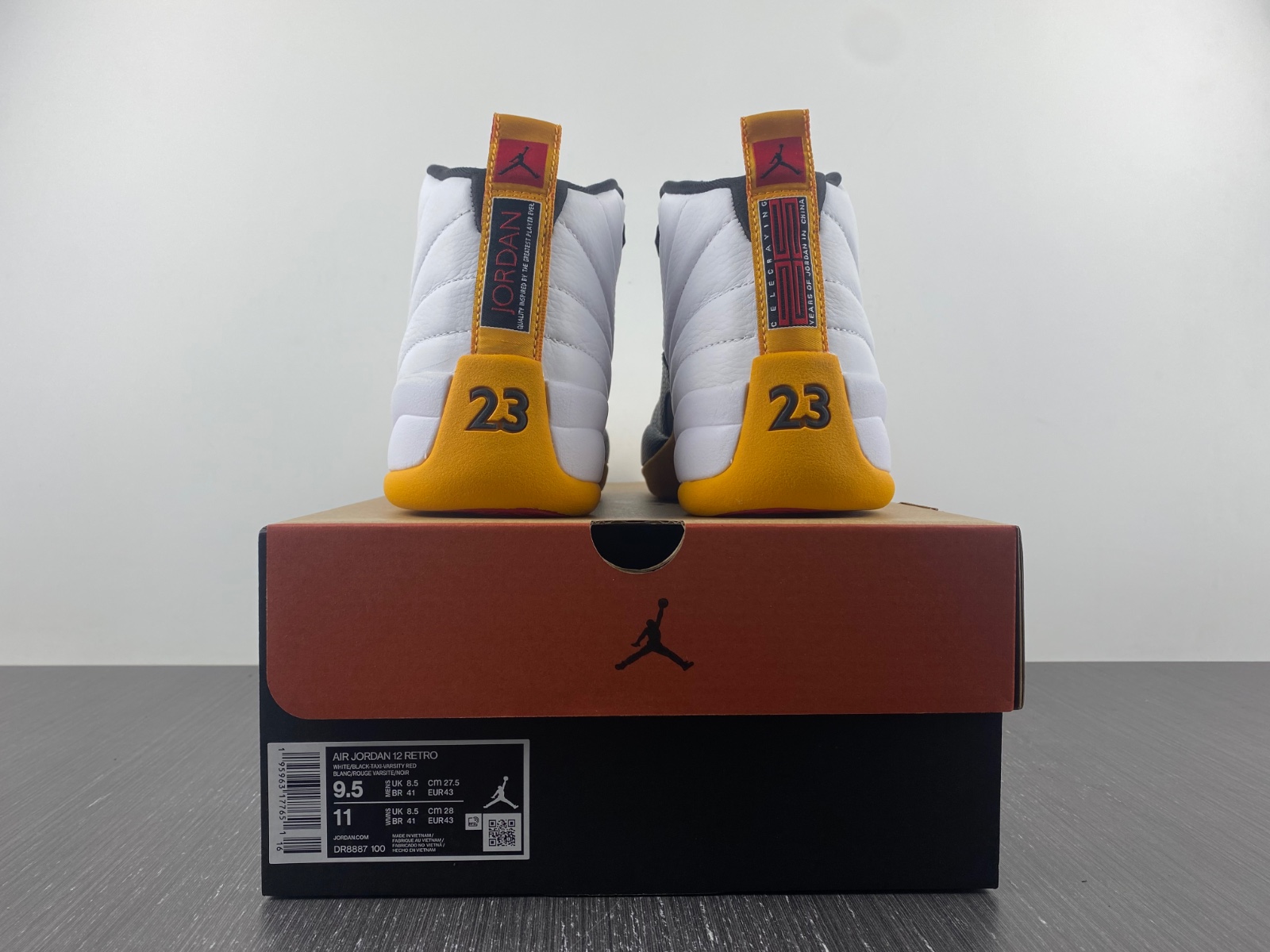 Jordan 12 DR6887-100