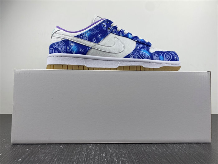 Nike SB Dunk Low Retro SP CT5053-041