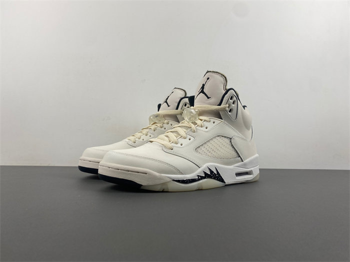 Jordan 5 Retro SE  FN7405-100