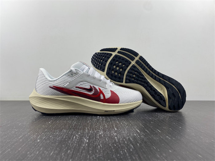 Nike Pegasus 40 Premium  FB7703-100