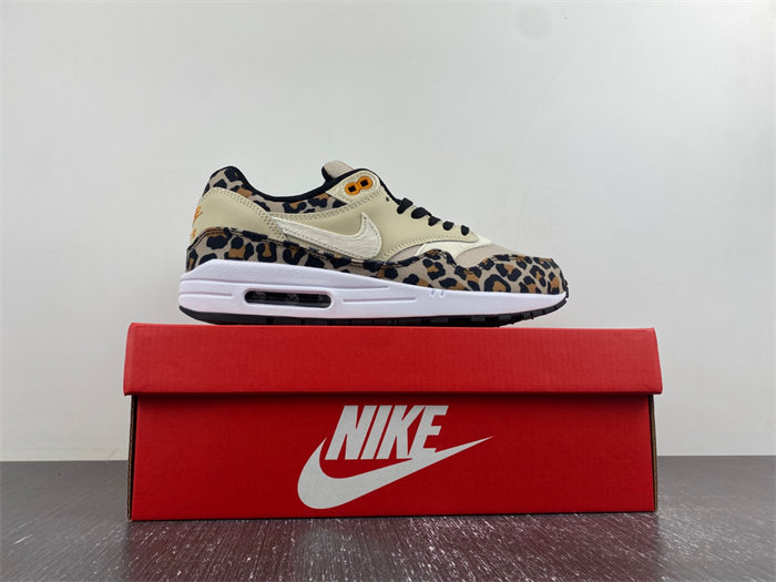 Nike Air Max 1 BV1977-200