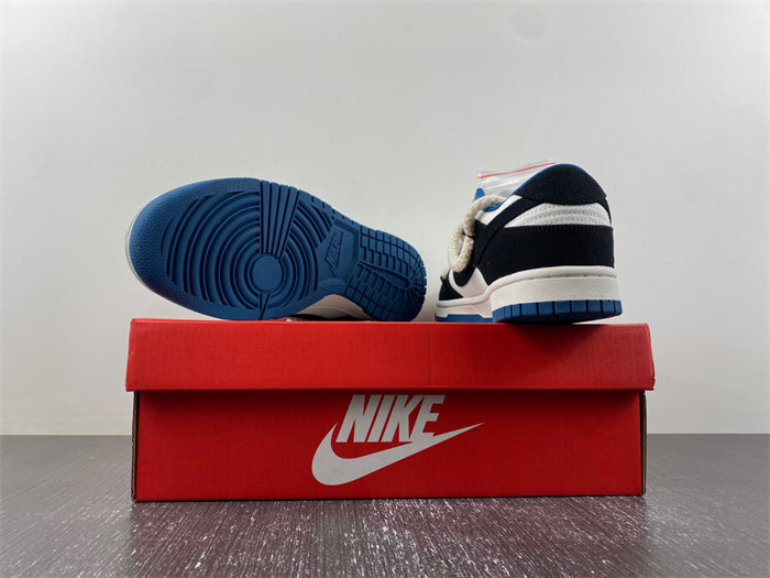 Nike SB Dunk Low  DV0834-101