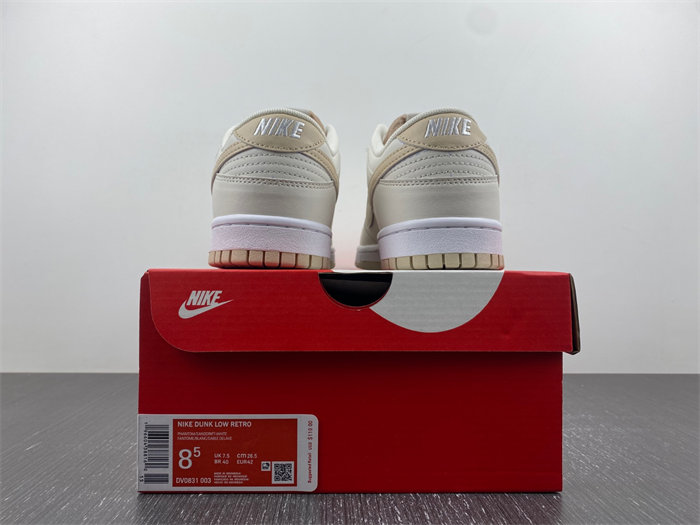 Nike Dunk Low  DV0831-003