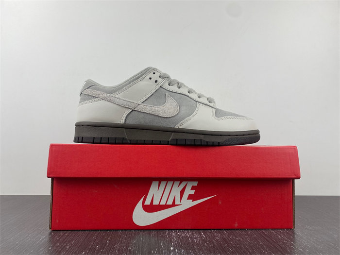 Nike Dunk Low Ironstone FD9746-001