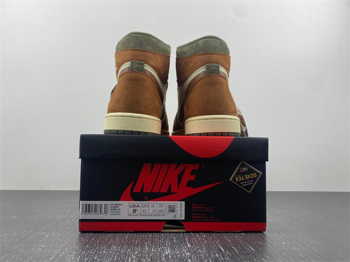 AJ1 Gore-Tex Jordan 1 High DB2889-100