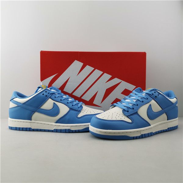 Nike Dunk Low Coast (W) DD1503-100