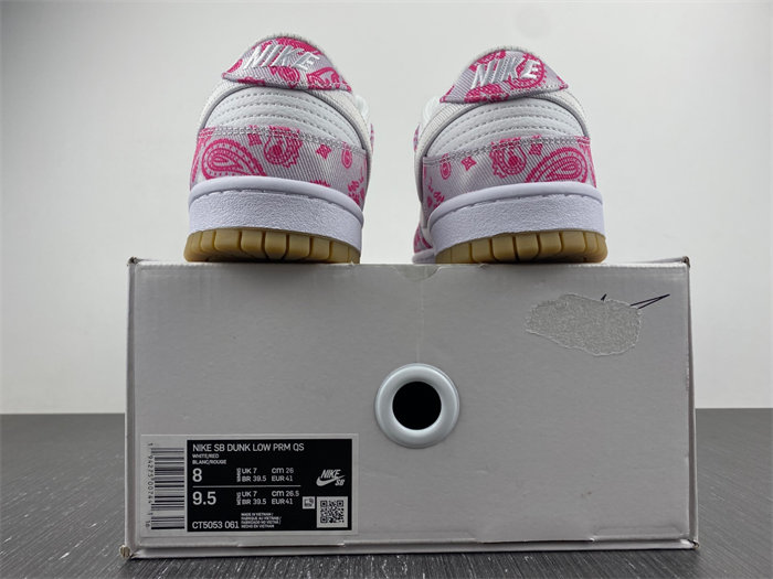 Nike SB Dunk Low Retro SP  CT5053-061