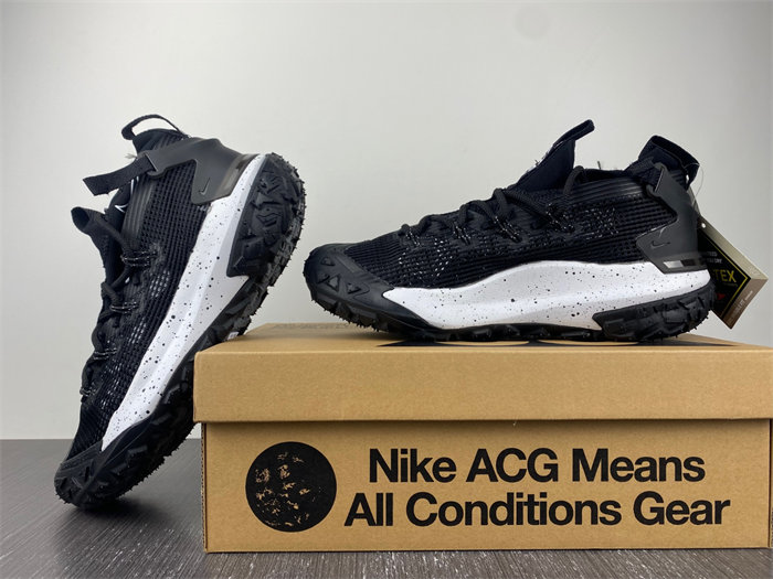 Nike ACG Mountain Fly Low Gore-Tex SE Dark Smoke Grey DD2861-002