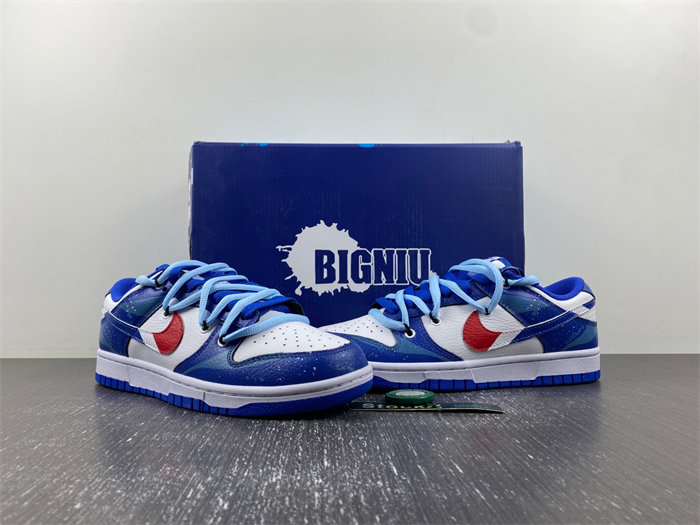 Nike Dunk Low  FD9064-110