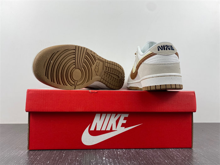 Nike SB Dunk DO9457-100