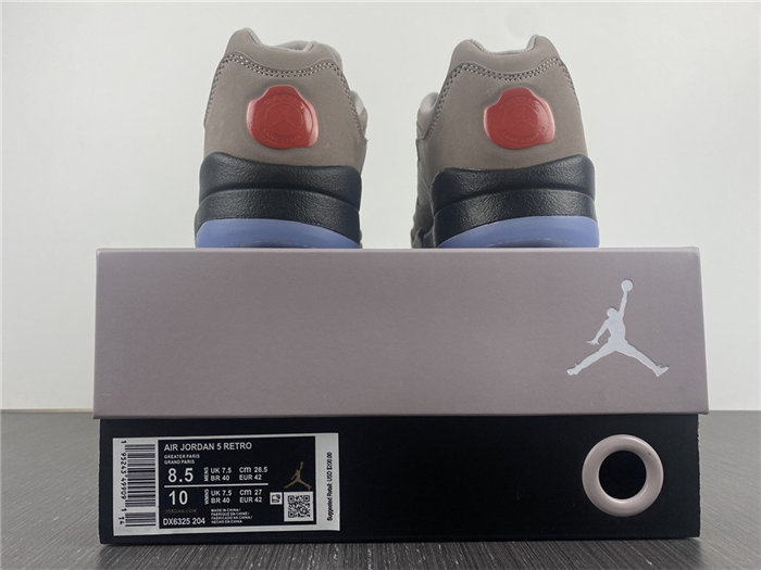 Jordan 5 Retro Low PSG DX6325-204