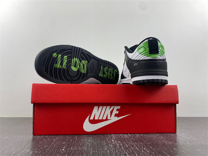 Nike Dunk Disrupt 2 DV1490-161