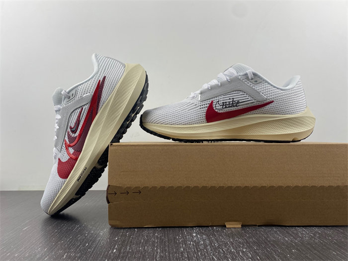 Nike Pegasus 40 Premium  FB7703-100