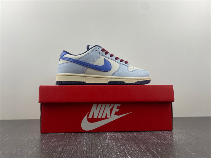 Nike Dunk Low “From Nike To You” FV8113-141